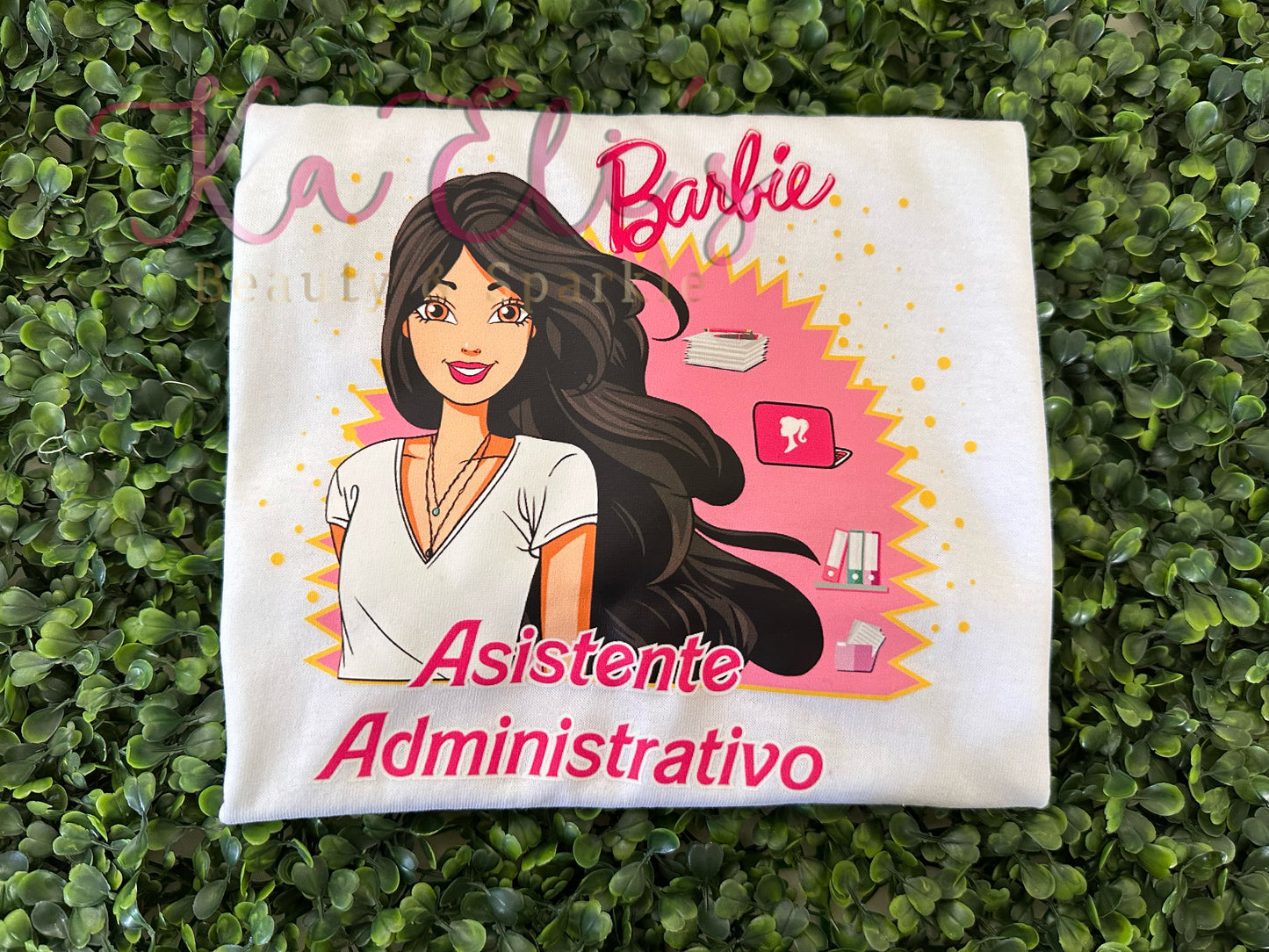 Barbie Asistente Admin